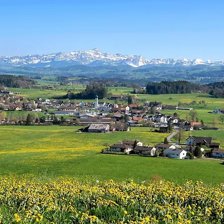 ベッド・アンド・ブレックファスト Gasthaus Krone Zuckenriet